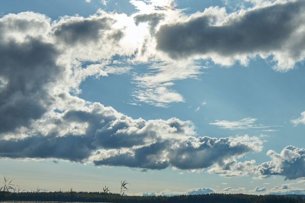weather